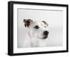 Spike Zuck-Susan Sabo-Framed Photographic Print