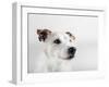 Spike Zuck-Susan Sabo-Framed Photographic Print