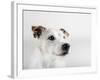 Spike Zuck-Susan Sabo-Framed Photographic Print