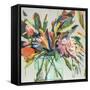 Spikey Bouquet-Jenny Westenhofer-Framed Stretched Canvas