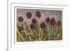 Spiky Flowers in Field, Vanilla Orchids-null-Framed Premium Giclee Print