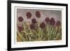 Spiky Flowers in Field, Vanilla Orchids-null-Framed Premium Giclee Print