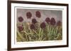 Spiky Flowers in Field, Vanilla Orchids-null-Framed Art Print