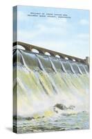 Spillway, Grand Coulee Dam, Washington-null-Stretched Canvas