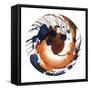 Spin Art 13-Kyle Goderwis-Framed Stretched Canvas