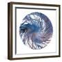 Spin Art 20-Kyle Goderwis-Framed Giclee Print