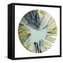 Spin Art 8-Kyle Goderwis-Framed Stretched Canvas