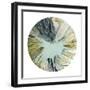Spin Art 8-Kyle Goderwis-Framed Giclee Print