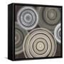 Spin Cycle-Liz Jardine-Framed Stretched Canvas