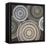 Spin Cycle-Liz Jardine-Framed Stretched Canvas