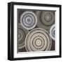 Spin Cycle-Liz Jardine-Framed Art Print