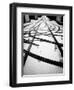 Spin Out-Sharon Wish-Framed Photographic Print