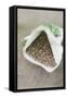 Spinach Seeds in Packet-Eising Studio - Food Photo and Video-Framed Stretched Canvas