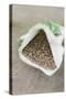Spinach Seeds in Packet-Eising Studio - Food Photo and Video-Stretched Canvas