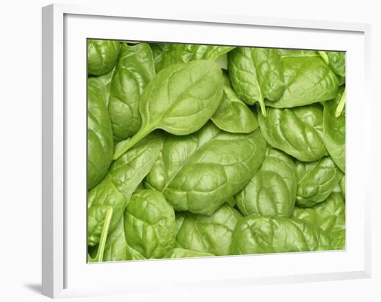 Spinach-null-Framed Photographic Print