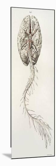 Spinal Arteries and Brain, Illustration, 1844-Science Source-Mounted Premium Giclee Print