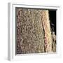 Spinal Cord, SEM-Steve Gschmeissner-Framed Premium Photographic Print