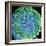 Spinal Nerve, SEM-Thomas Deerinck-Framed Premium Photographic Print