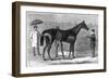 Spinaway, Winner of the Oaks, 1875-Crane-Framed Giclee Print