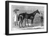 Spinaway, Winner of the Oaks, 1875-Crane-Framed Giclee Print