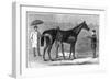 Spinaway, Winner of the Oaks, 1875-Crane-Framed Giclee Print