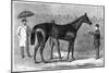 Spinaway, Winner of the Oaks, 1875-Crane-Mounted Giclee Print