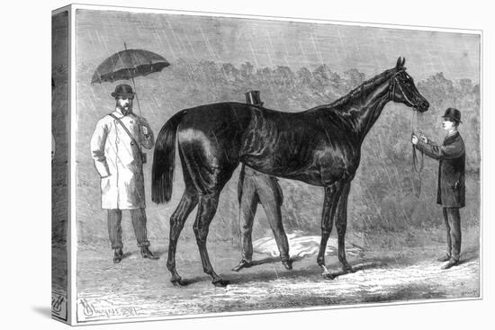 Spinaway, Winner of the Oaks, 1875-Crane-Stretched Canvas