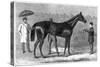 Spinaway, Winner of the Oaks, 1875-Crane-Stretched Canvas