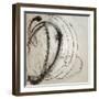 Spindle and Thread-Kari Taylor-Framed Giclee Print