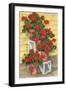 Spindle Shelf Geraniums-Paul Brent-Framed Art Print