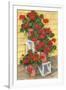 Spindle Shelf Geraniums-Paul Brent-Framed Art Print