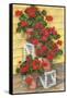 Spindle Shelf Geraniums-Paul Brent-Framed Stretched Canvas