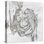 Spindle Swirl II-Rikki Drotar-Stretched Canvas