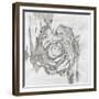 Spindle Swirl II-Rikki Drotar-Framed Giclee Print