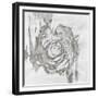 Spindle Swirl II-Rikki Drotar-Framed Giclee Print