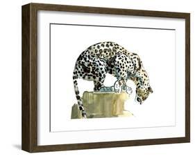 Spine (Arabian Leopard), 2015-Mark Adlington-Framed Premium Giclee Print