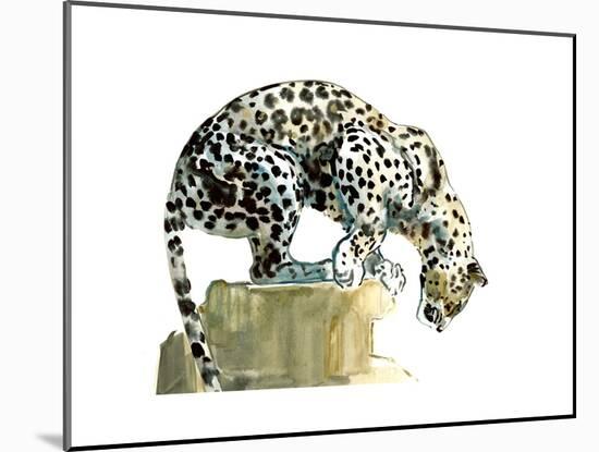 Spine (Arabian Leopard), 2015-Mark Adlington-Mounted Premium Giclee Print