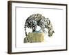 Spine (Arabian Leopard), 2015-Mark Adlington-Framed Giclee Print