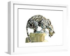 Spine (Arabian Leopard), 2015-Mark Adlington-Framed Giclee Print