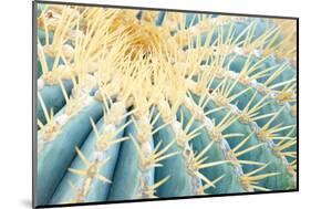 Spines of a Golden Barrel Cactus, Close-Up-Alexander Georgiadis-Mounted Photographic Print