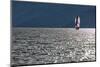 Spinnaker Sailing in British Columbia-Dave Heath-Mounted Photographic Print