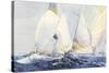 Spinnakers-Dan Jacobson-Stretched Canvas