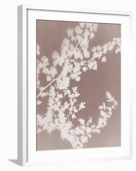 Spinney in Grey-Sarah Cheyne-Framed Giclee Print