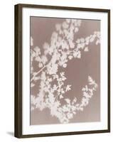 Spinney in Grey-Sarah Cheyne-Framed Giclee Print