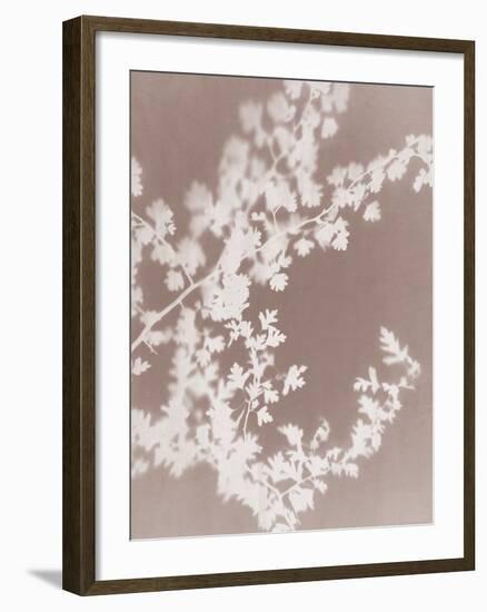 Spinney in Grey-Sarah Cheyne-Framed Giclee Print