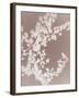 Spinney in Grey-Sarah Cheyne-Framed Giclee Print