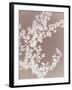 Spinney in Grey-Sarah Cheyne-Framed Giclee Print