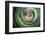 Spinning around-Heidi Westum-Framed Photographic Print