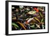 Spinning Fishing Lures-null-Framed Art Print