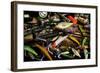 Spinning Fishing Lures-null-Framed Art Print